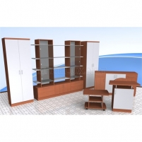 Комплект офисной мебели для руководителя КМР9